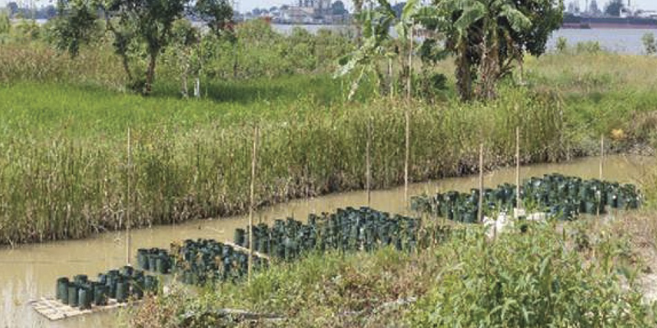 Pengembangan Pertanian 2